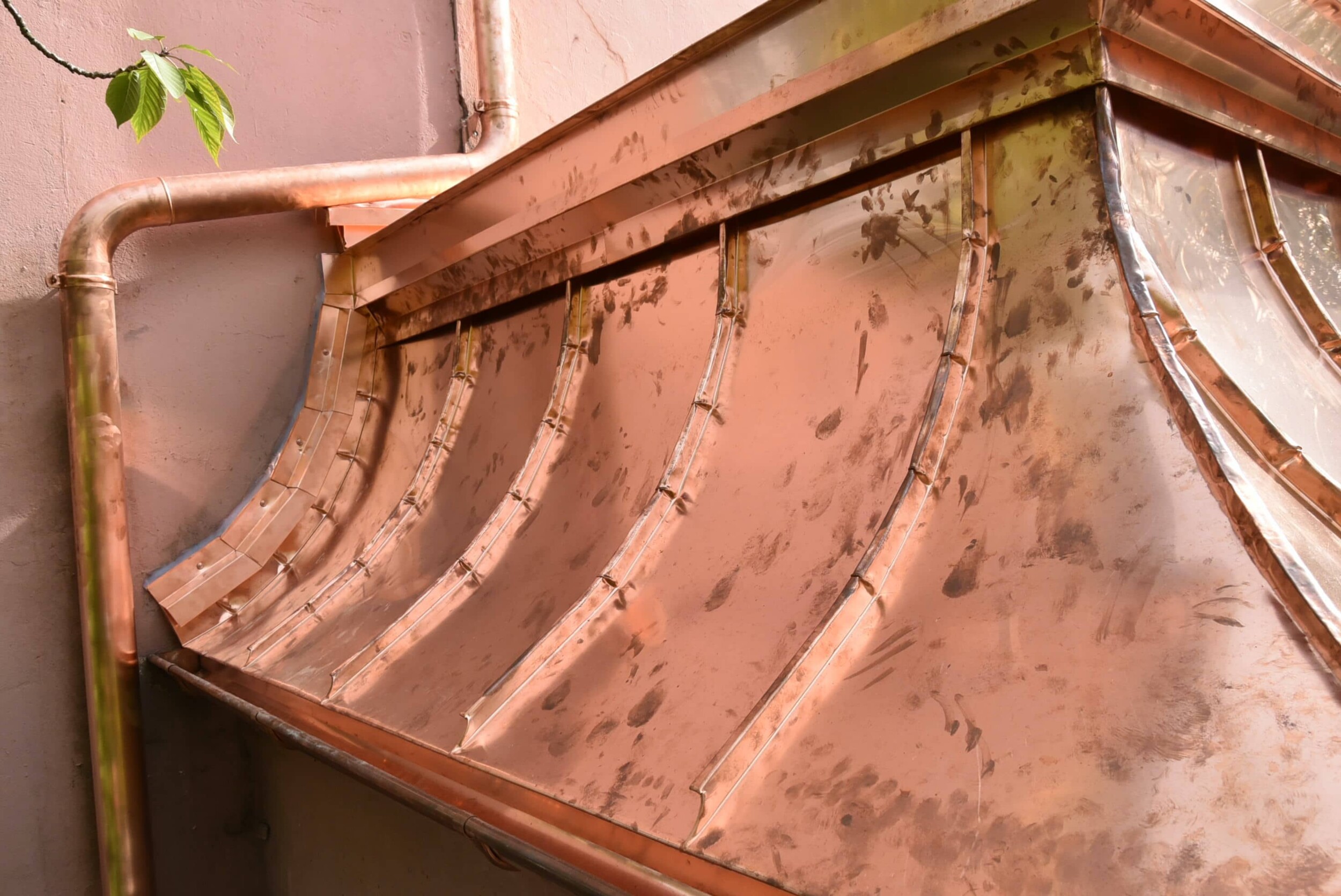 DSC_1186